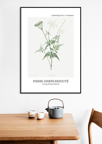 Plakat 13x18cm Design Rotted Chervil, Redoute Vintage do Salonu na Arena.pl