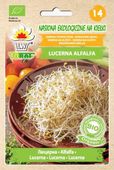 BIO Kiełki Lucerna ALFALFA 20 g.