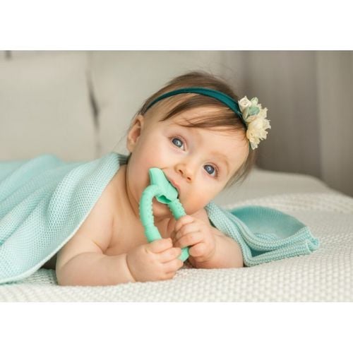 Gryzak sensor. kwiatek miętowy GILIGUMS na Arena.pl