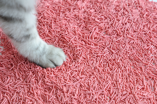 Żwirek zbrylający dla kota brzoskwiniowy 15kg - biodegradowalny na Arena.pl