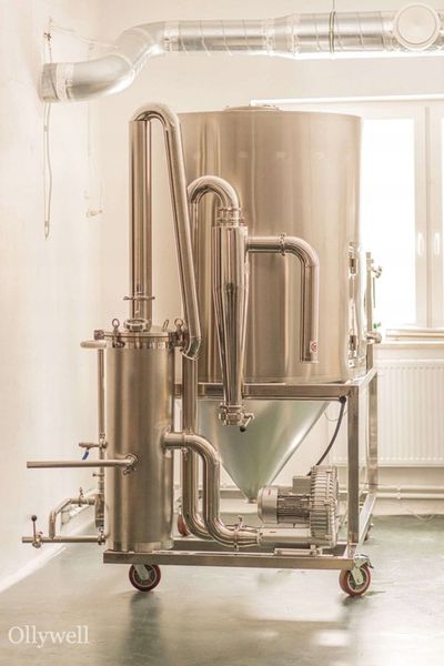 Polska Soplówka jeżowata Ollywell Lion's Mane Krople Moc Ekstrakt Adaptogen zdjęcie 10