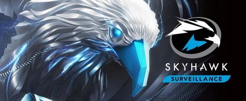 DYSK SEAGATE SkyHawk ST6000VX001 6TB na Arena.pl