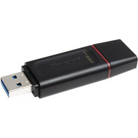 KINGSTON FLASH 256GB USB3.2 Gen1 DataTraveler Exodia (B+P)