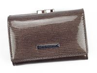 Portfel damski skórzany PELLUCCI LN-117 Popiel