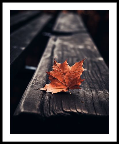 Plakat 40x50cm Pojedynczy Liść na Arena.pl