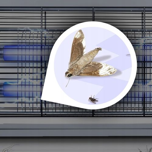 LAMPA OWADOBÓJCZA UV na komary muchy owady itp. DUŻA MOCNA BARDZO na Arena.pl