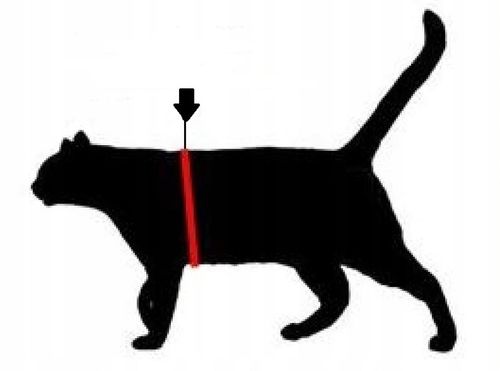 SZELKI dużego kota 38-48cm do 6kg Brytyjski TRE PONTI czarne Z ODBLASKAMI na Arena.pl