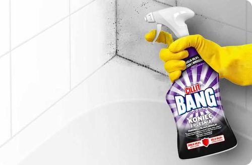 CILLIT BANG Power Cleaner Pleśń i Czarne Osady 750ml Spray na Arena.pl