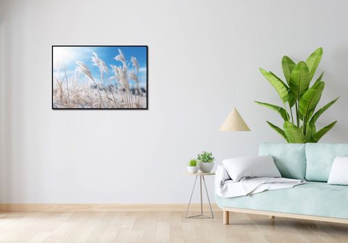 Plakat 91,5x61cm Szum Między Trawą na Arena.pl