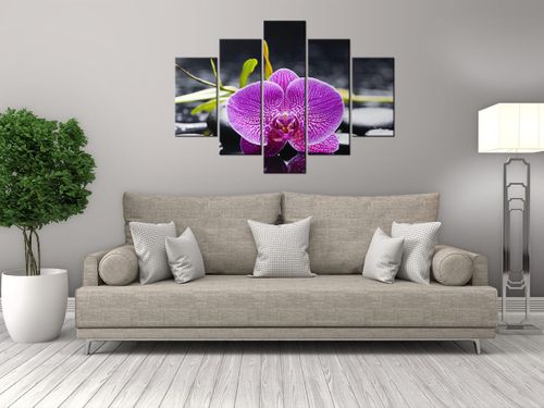 Orchidea 5H 150x105 widok GRATISY na Arena.pl