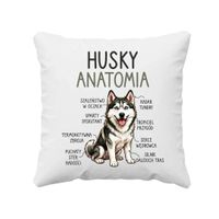 Husky anatomia - poduszka na prezent z pieskiem