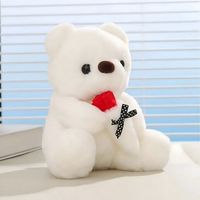 BIAŁY MIŚ PLUSZAK MASKOTKA PLUSZOWY WALENTYNKI 32CM CZERWONA RÓŻA GRATIS