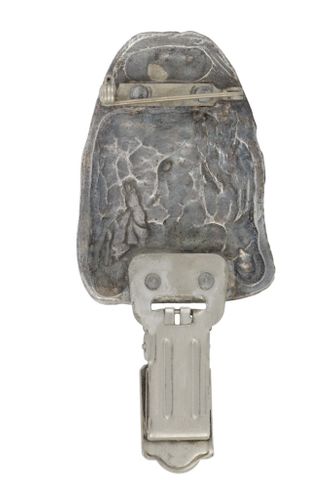 Shih Tzu - klips - 2540 na Arena.pl