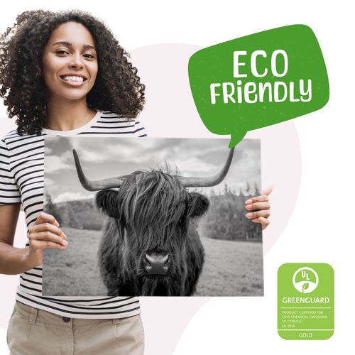 Obraz Do Sypialni Krowa Szkocka Na Tle Traw Czarno-Biały 90cm x 60cm na Arena.pl