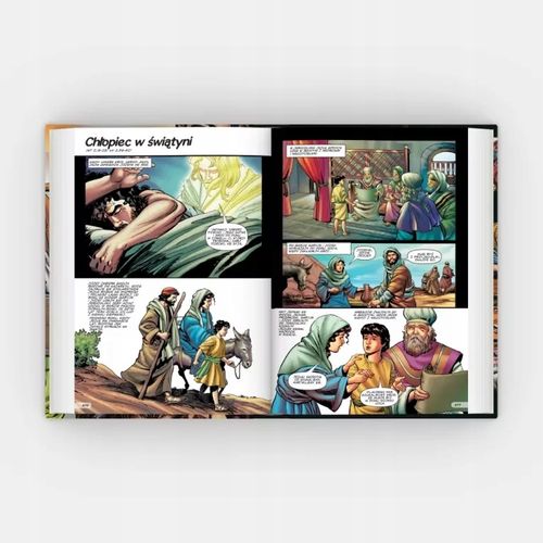 Biblia komiks Sergio Cariello na Arena.pl