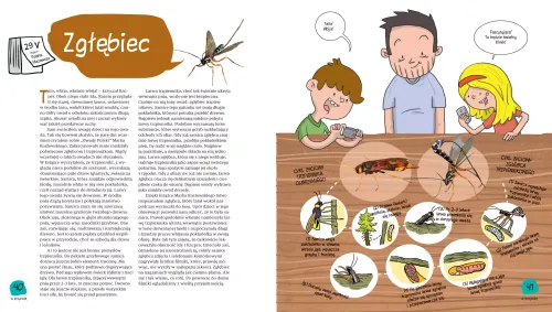 Z tatą w przyrodę na Arena.pl