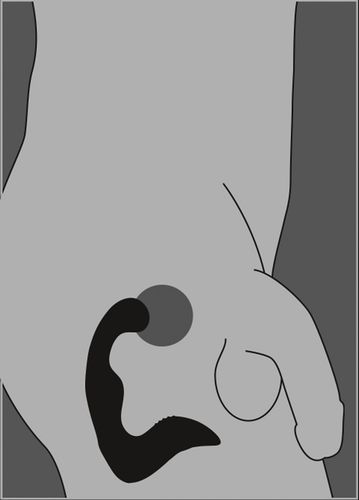 wibrujący masażer prostaty krocza 9 trybów 14cm na Arena.pl