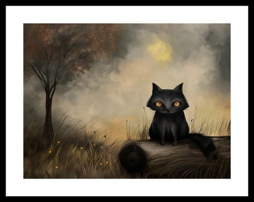 Plakat 40x30cm Czarny Kot na Arena.pl