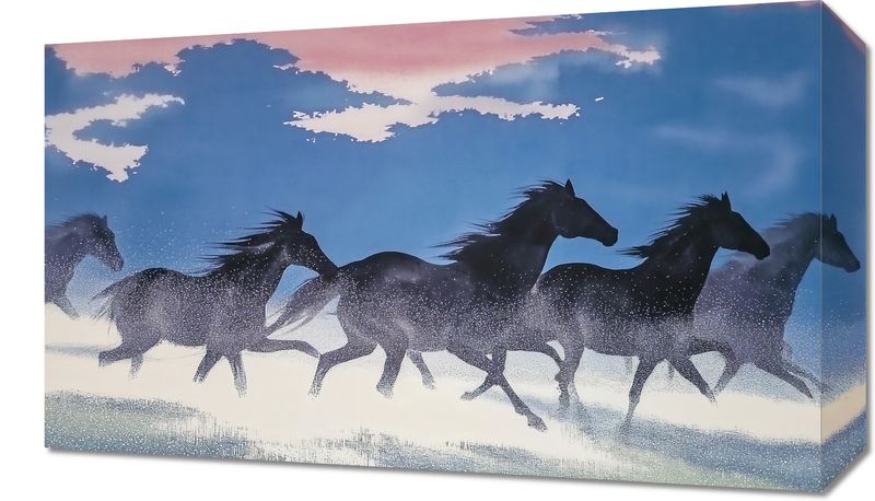 Obraz 50x30cm Wolność i Swoboda zdjęcie 1