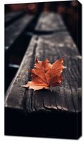 Obraz 50x90cm Pojedynczy Liść