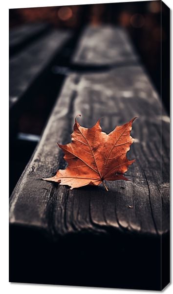 Obraz 50x90cm Pojedynczy Liść zdjęcie 1