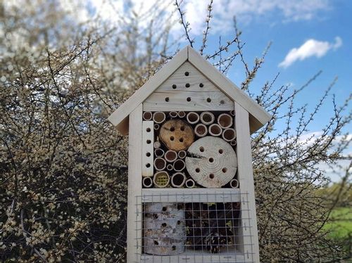 BUDKA LĘGOWA DOMEK HOTEL MOTYLI Z KORĄ + KLOCEK DLA OWADÓW TRAPEZ Z DREWNA na Arena.pl