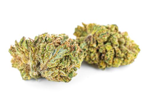 Susz konopny CBD | White Widow | HOLENDER | 5g na Arena.pl