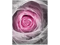 40X50CM OBRAZ PINK ROSE OBRAZ