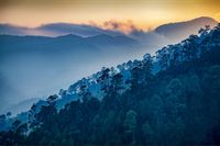 Fototapeta Las Góry PEJZAŻ Natura do Salonu 405x270