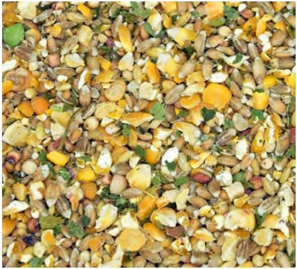 Karma KURA NIOSKA Z ZIOŁAMI pasza drób sypka na Arena.pl