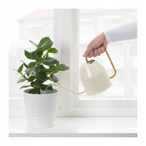 IKEA VATTENKRASSE konewka 0,9 l na Arena.pl