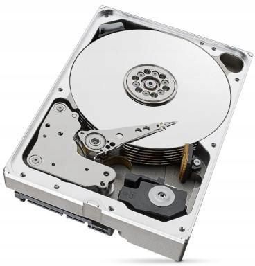 DYSK SEAGATE SkyHawk ST6000VX001 6TB na Arena.pl