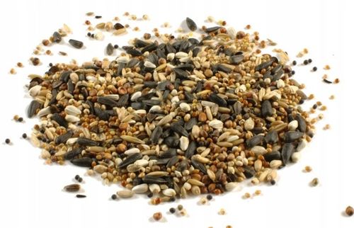 Pokarm KARMA DLA PTAKÓW dzikich mieszanka ZIMUJĄCYCH ZIARNO 5kg na Arena.pl