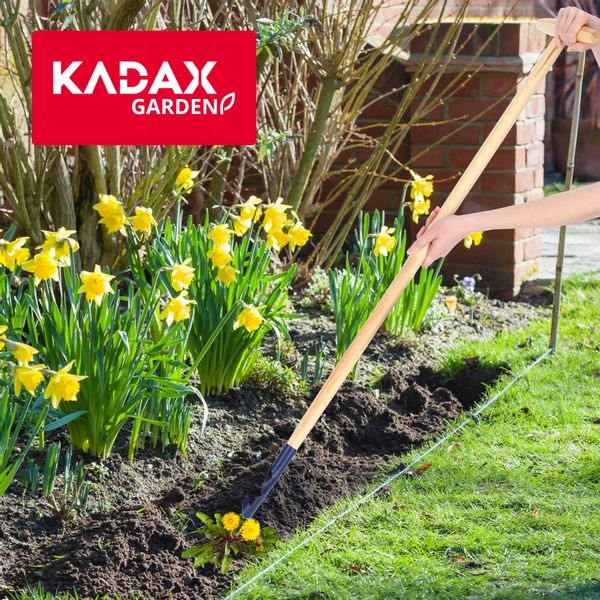 WYCINAK DO CHWASTÓW KORZENI MLECZY Z TRZONKIEM zdjęcie 6