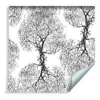 Tapeta Oryginalne Czarno - Białe Drzewa