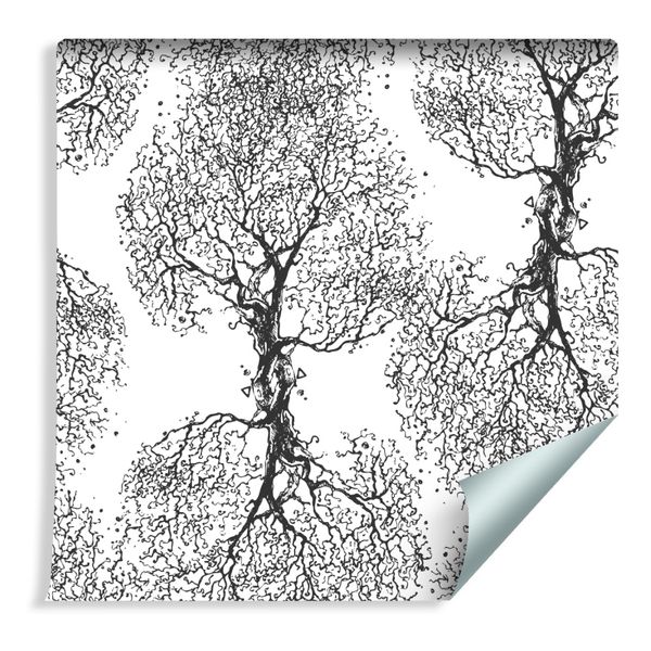 Tapeta Oryginalne Czarno - Białe Drzewa zdjęcie 1