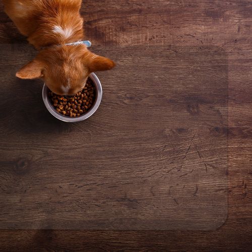 Testowy produkt 10 na Arena.pl