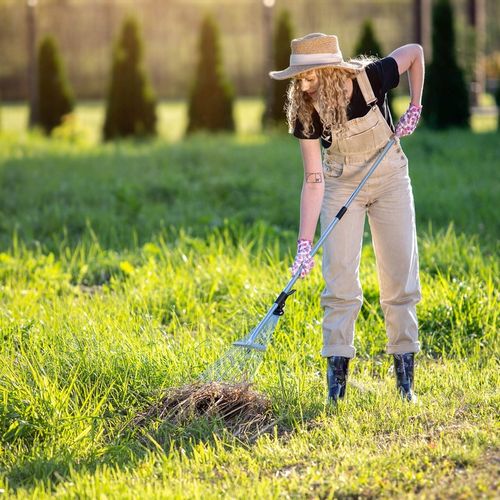 GRABIE METALOWE DO LIŚCI TRAWY Z TRZONKIEM WACHLARZOWE REGULOWANE na Arena.pl