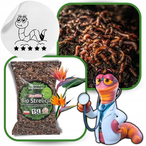 Ziemia do Strelicji i helikonii BIO Bigos Podłoże Premium 15L na Arena.pl