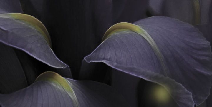 CEST LA VIE EDP 100ml + 10ml roll on *Fenzi zdjęcie 3