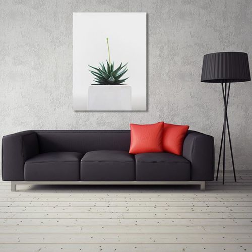 Obraz na płótnie - Canvas, Młoda roślina 30x40 na Arena.pl