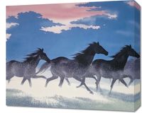 Obraz 60x50cm Wolność i Swoboda