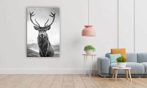 OBRAZ NA PŁÓTNIE 013 Czarno-biały jeleń 40x60cm na Arena.pl