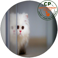 Opłatek na tort Koty