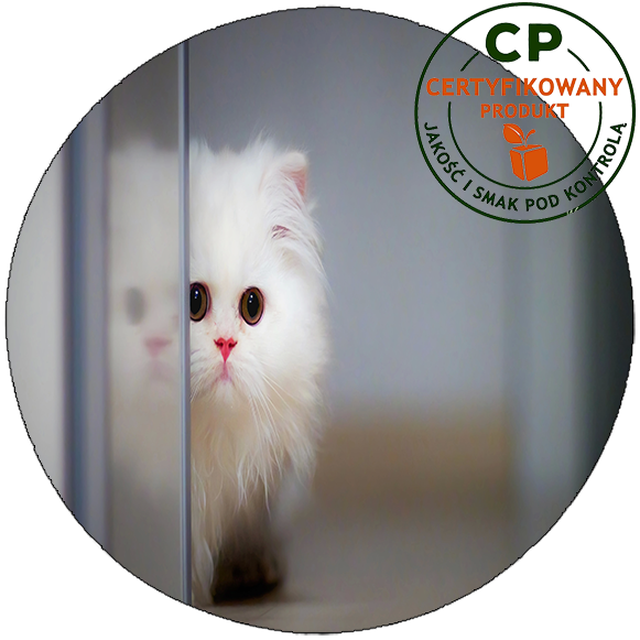 Opłatek na tort Koty zdjęcie 1