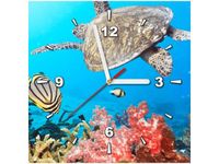 product-compare-58609728