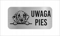 GRAWER Tabliczka nierdzewna 20x10 cm UWAGA PIES Dalmatyńczyk