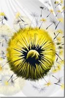 product-compare-58704849