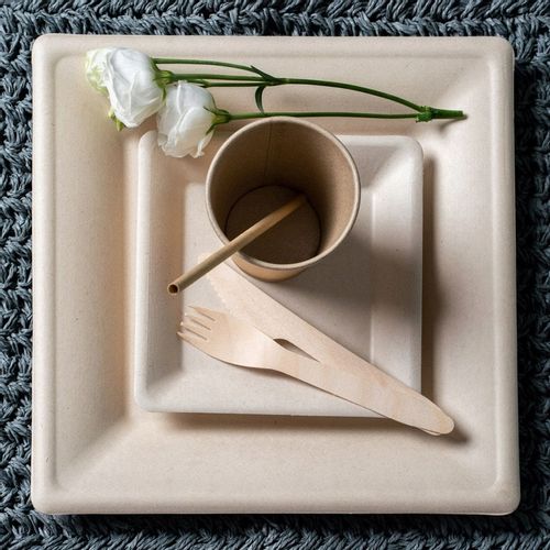 Zestaw z trzciny cukrowej kwadratowy brąz/12 osób na Arena.pl