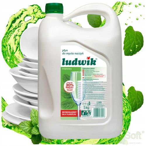 LUDWIK Płyn do mycia naczyń miętowy 5 kg na Arena.pl